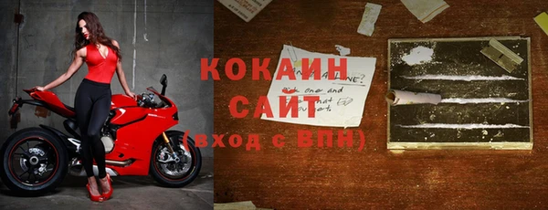 гашик Алзамай