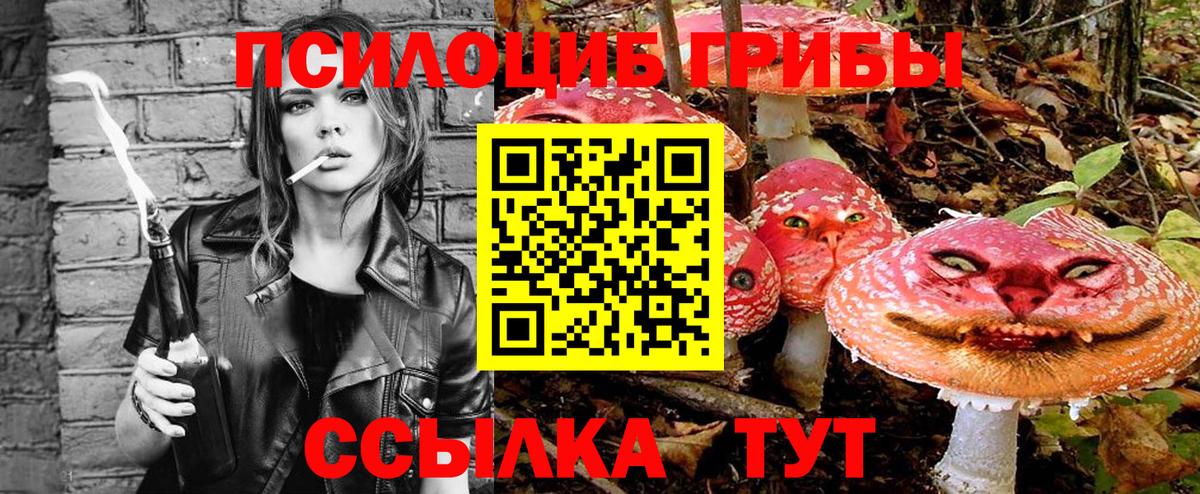 Галлюциногенные грибы Cubensis Елабуга