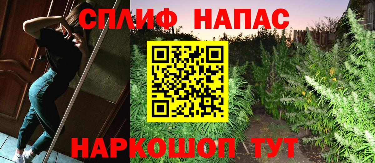 Елабуга  Каннабис Ganja  Марихуана планчик  Вход с VPN  Бошки Шишки тримм 